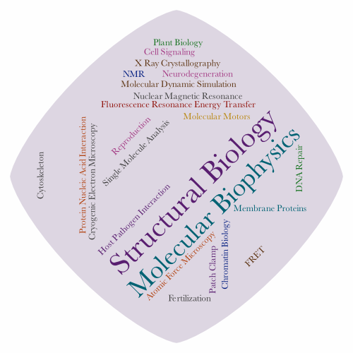 Structural Biology and Molecular Biophysics